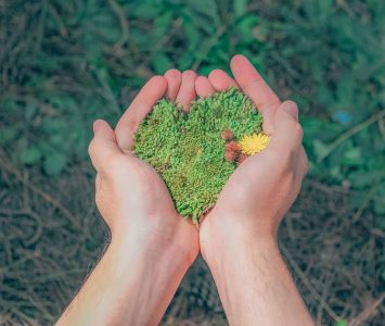 Hands holding grass